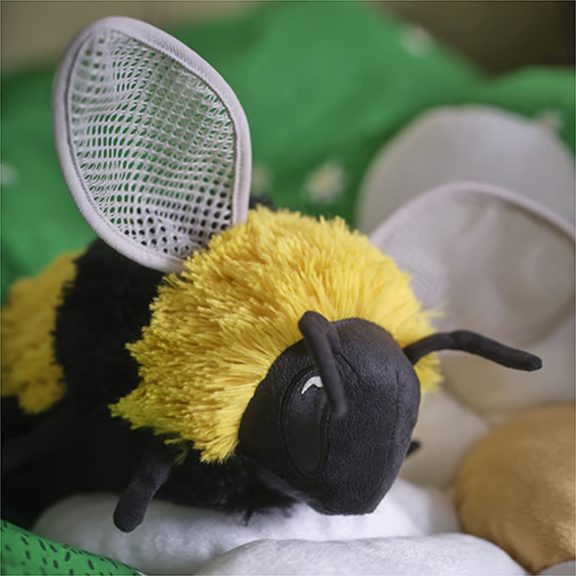 skogsduva bee